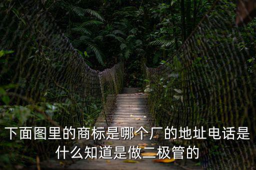 下面圖里的商標是哪個廠的地址電話是什么知道是做二極管的