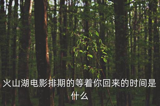 廣州火山湖電影院排期，火山湖電影排期的等著你回來的時間是什么