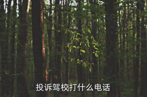 投訴駕校打什么電話