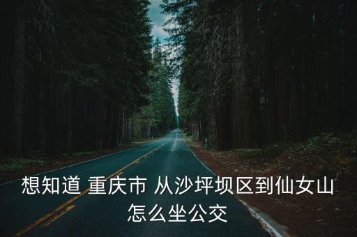 想知道 重慶市 從沙坪壩區到仙女山怎么坐公交
