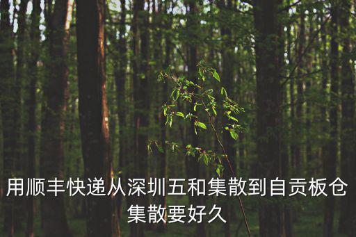 用順豐快遞從深圳五和集散到自貢板倉集散要好久