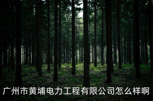 廣州市黃埔電力工程有限公司怎么樣啊