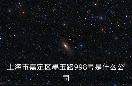 上海市嘉定區墨玉路998號是什么公司