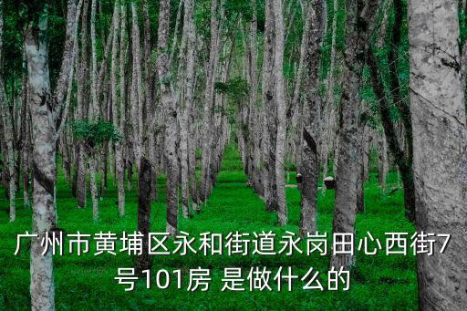 廣州市黃埔區永和街道永崗田心西街7號101房 是做什么的