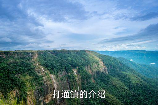 重慶市群團改革試點總結，私募債券試點地區北京上海天津重慶廣東山東江蘇浙