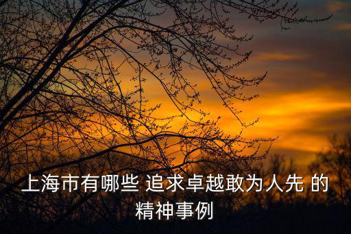 上海市有哪些 追求卓越敢為人先 的精神事例