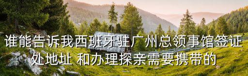 誰能告訴我西班牙駐廣州總領事館簽證處地址 和辦理探親需要攜帶的