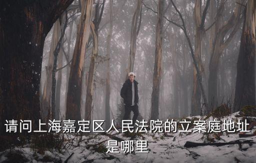 請(qǐng)問上海嘉定區(qū)人民法院的立案庭地址是哪里