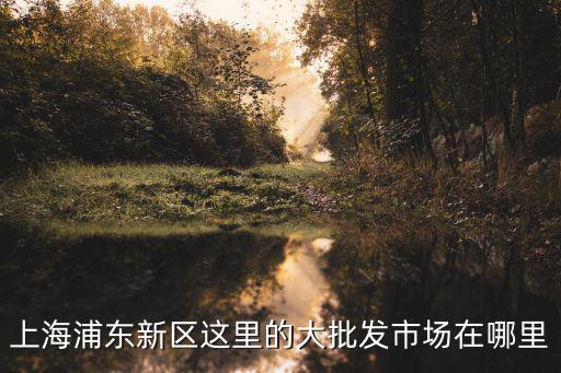 上海市浦東批發市場，上海浦東新區有沒有大型的服裝批發市場在哪里
