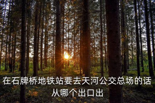 在石牌橋地鐵站要去天河公交總場的話從哪個出口出