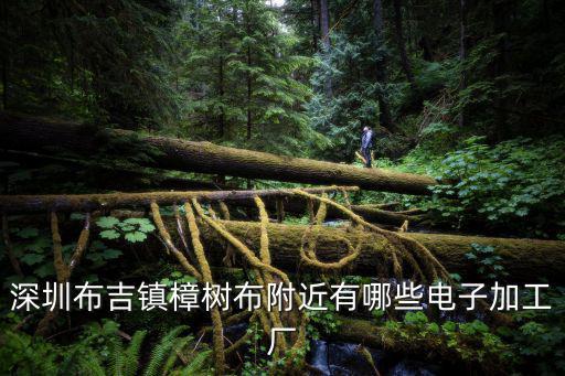 深圳布吉鎮樟樹布附近有哪些電子加工廠