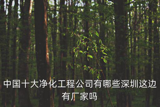 中國十大凈化工程公司有哪些深圳這邊有廠家嗎
