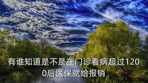 廣州醫(yī)保超過1200，廣州醫(yī)保卡上每月金額是多少我交了兩年多了賬上余額才1200