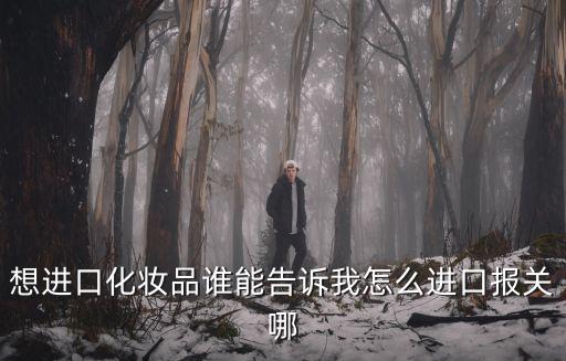 想進口化妝品誰能告訴我怎么進口報關哪