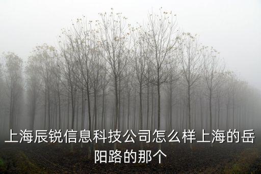 上海辰銳信息科技公司怎么樣上海的岳陽路的那個(gè)