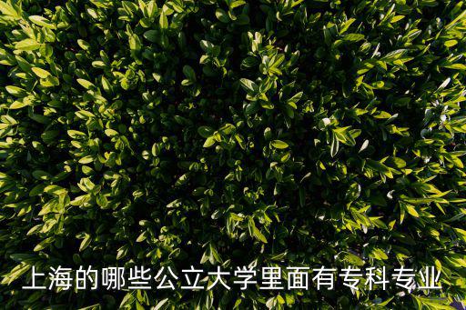 上海的哪些公立大學里面有專科專業