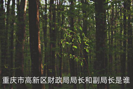 重慶市高新區財政局局長和副局長是誰