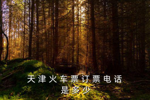 天 津 火 車 票 訂 票 電 話 是 多 少
