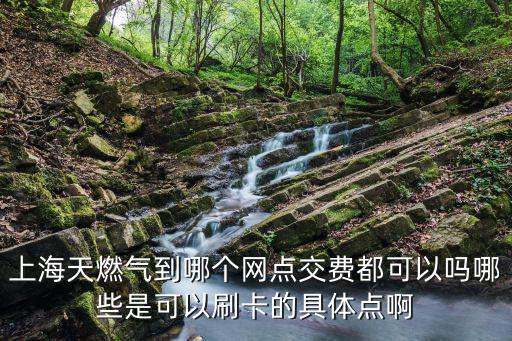 上海天燃氣到哪個網點交費都可以嗎哪些是可以刷卡的具體點啊