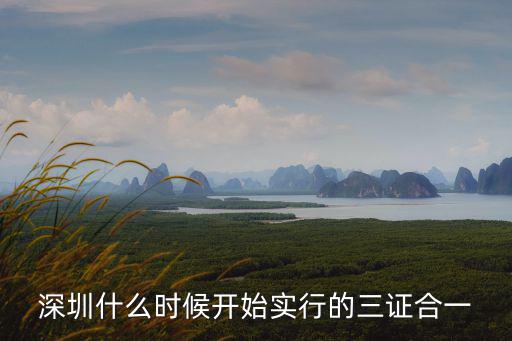 深圳什么時候開始實行的三證合一