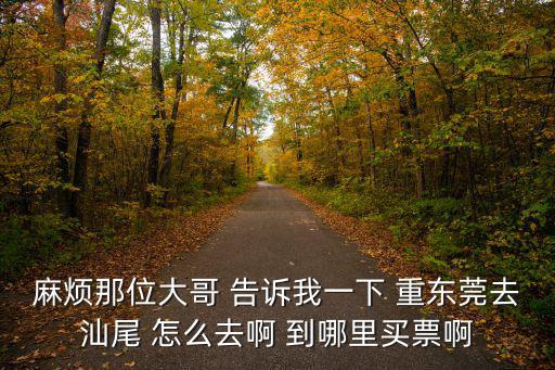 東莞到汕尾自駕游攻略，東莞到汕尾多少公里