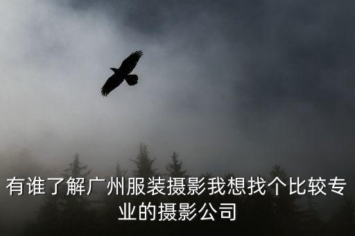 廣州新龍浩，有誰了解廣州服裝攝影我想找個(gè)比較專業(yè)的攝影公司