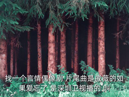 找一個言情偶像劇 片尾曲是戚薇的如果愛忘了 是深圳衛視播的 叫