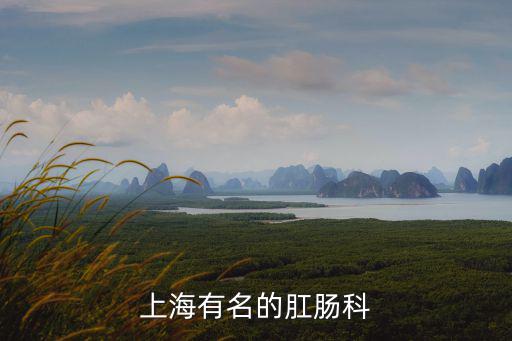 上海有名的肛腸科