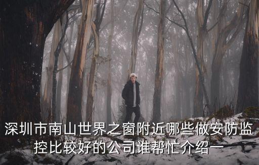 深圳市南山世界之窗附近哪些做安防監(jiān)控比較好的公司誰(shuí)幫忙介紹一