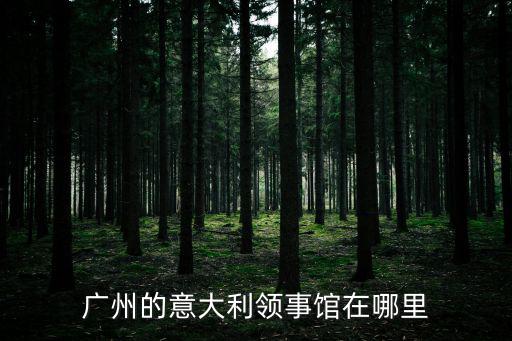 廣州的意大利領事館在哪里