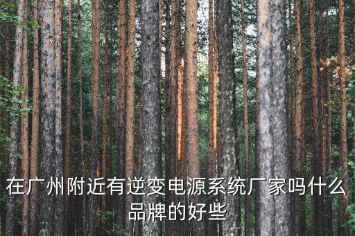 在廣州附近有逆變電源系統(tǒng)廠家嗎什么品牌的好些