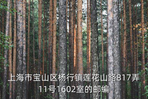 上海市寶山區楊行鎮蓮花山路817弄11號1602室的郵編