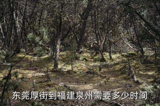 東莞厚街到福建泉州需要多少時間