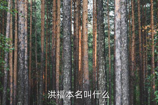 洪福本名叫什么