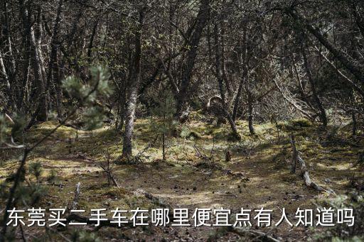 東莞買二手車在哪里便宜點有人知道嗎