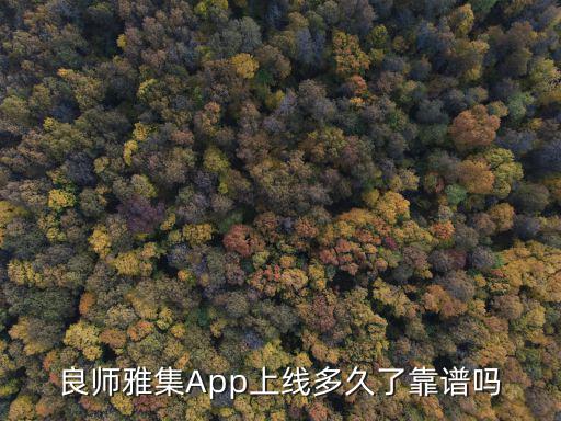 廣州 良師雅集，良師雅集App上線多久了靠譜嗎