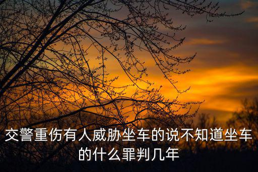 交警重傷有人威脅坐車的說不知道坐車的什么罪判幾年