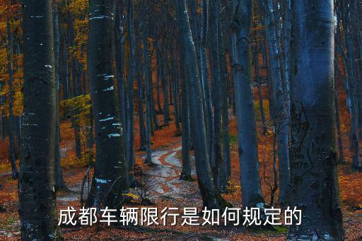 成都車輛限行是如何規定的