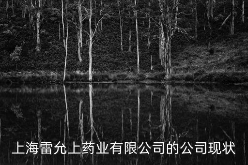 上海雷允上藥業有限公司的公司現狀