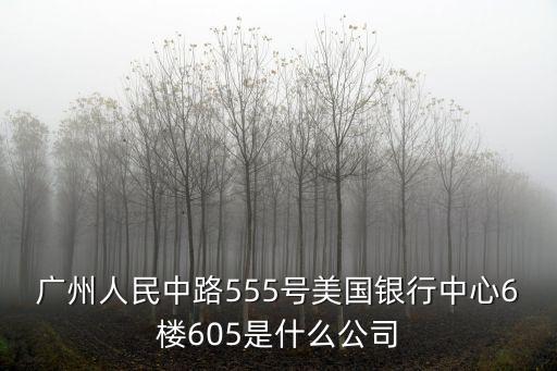 廣州人民中路555號美國銀行中心6樓605是什么公司