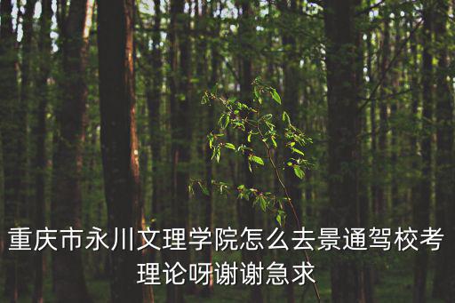 重慶市永川文理學院怎么去景通駕校考理論呀謝謝急求