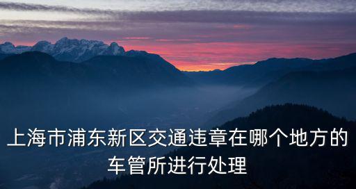 上海市浦東新區交通違章在哪個地方的車管所進行處理