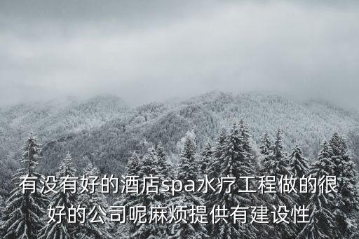 有沒有好的酒店spa水療工程做的很好的公司呢麻煩提供有建設性