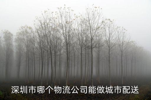 深圳市區(qū)配送，深圳市做城市配送做得好的有哪些