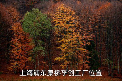 上海浦東康橋孚創工廠位置