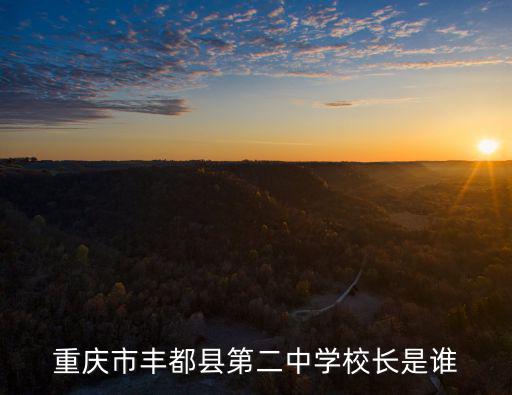 重慶市豐都第二中學冉學權，重慶市豐都縣第二中學校長是誰