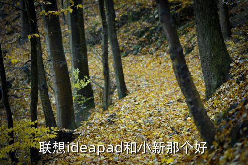 聯(lián)想ideapad和小新那個好