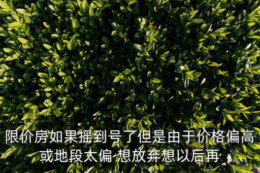 成都市搖號只能放棄兩次嗎，成都小升初微機搖號能不能搖第二次