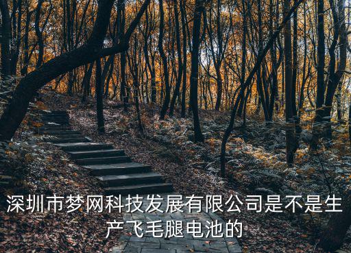 深圳市夢網科技發展有限公司是不是生產飛毛腿電池的