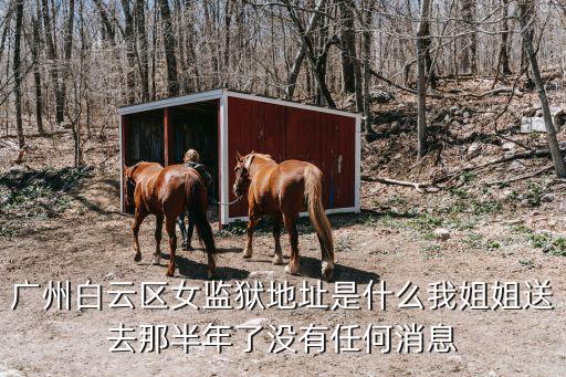 廣州白云區(qū)女監(jiān)獄地址是什么我姐姐送去那半年了沒(méi)有任何消息